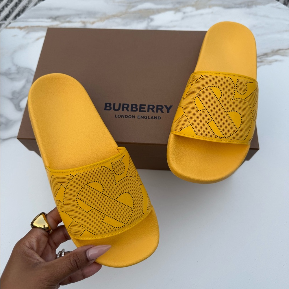 Burberry Logo Slides